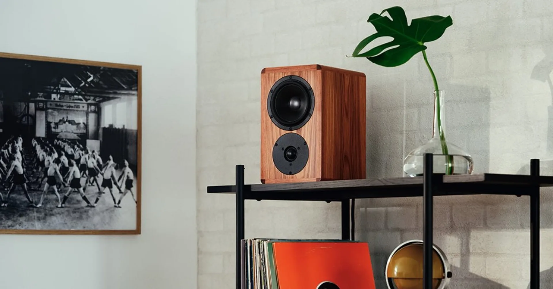 Dynaudio Heritage Special bookshelf speaker in American walnut on black metal shelving with vinyl records, Monstera leaf, an…