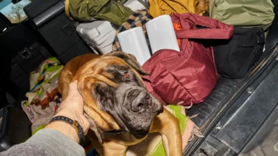 Outdoor lifestyle scene with white Sonos portable speakers in a car trunk next to luggage and a dog.