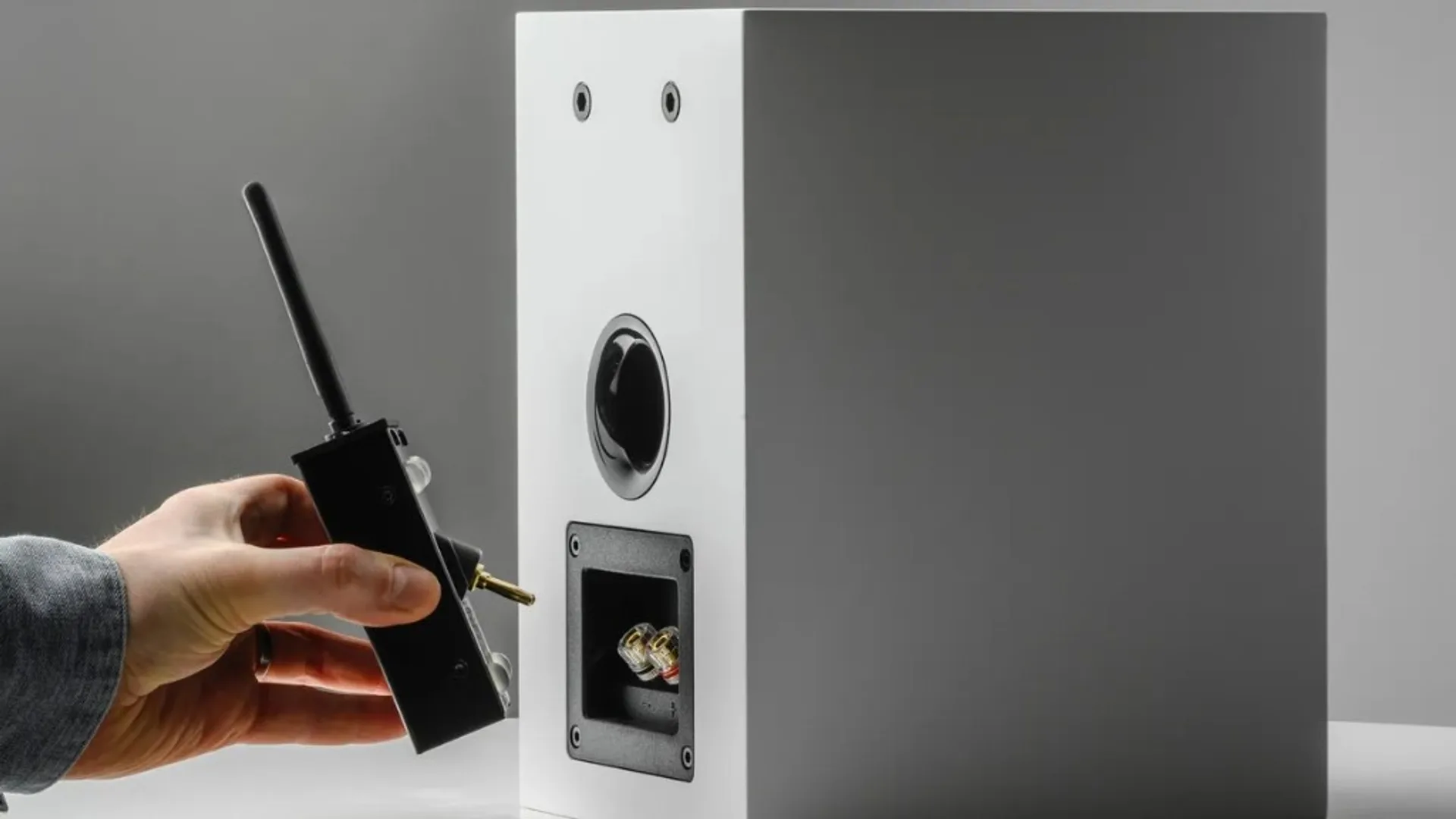 Hand holding a compact black Pro-Ject wireless streamer with antenna next to the rear binding posts of a white bookshelf speaker.