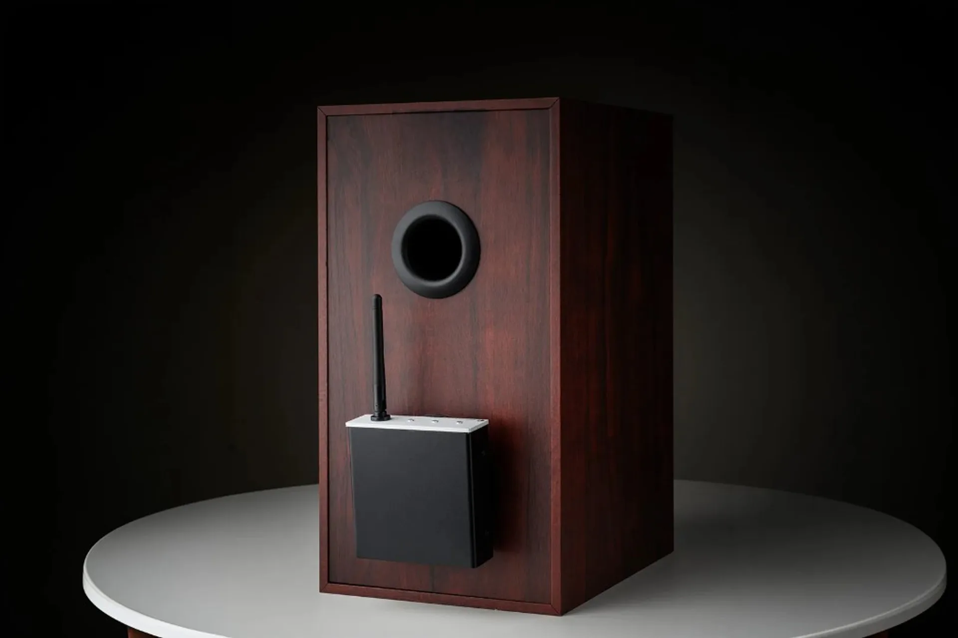 Compact Pro-Ject Wireless Box E streaming amplifier mounted on the back of a dark wood grain bookshelf speaker with reflex port.