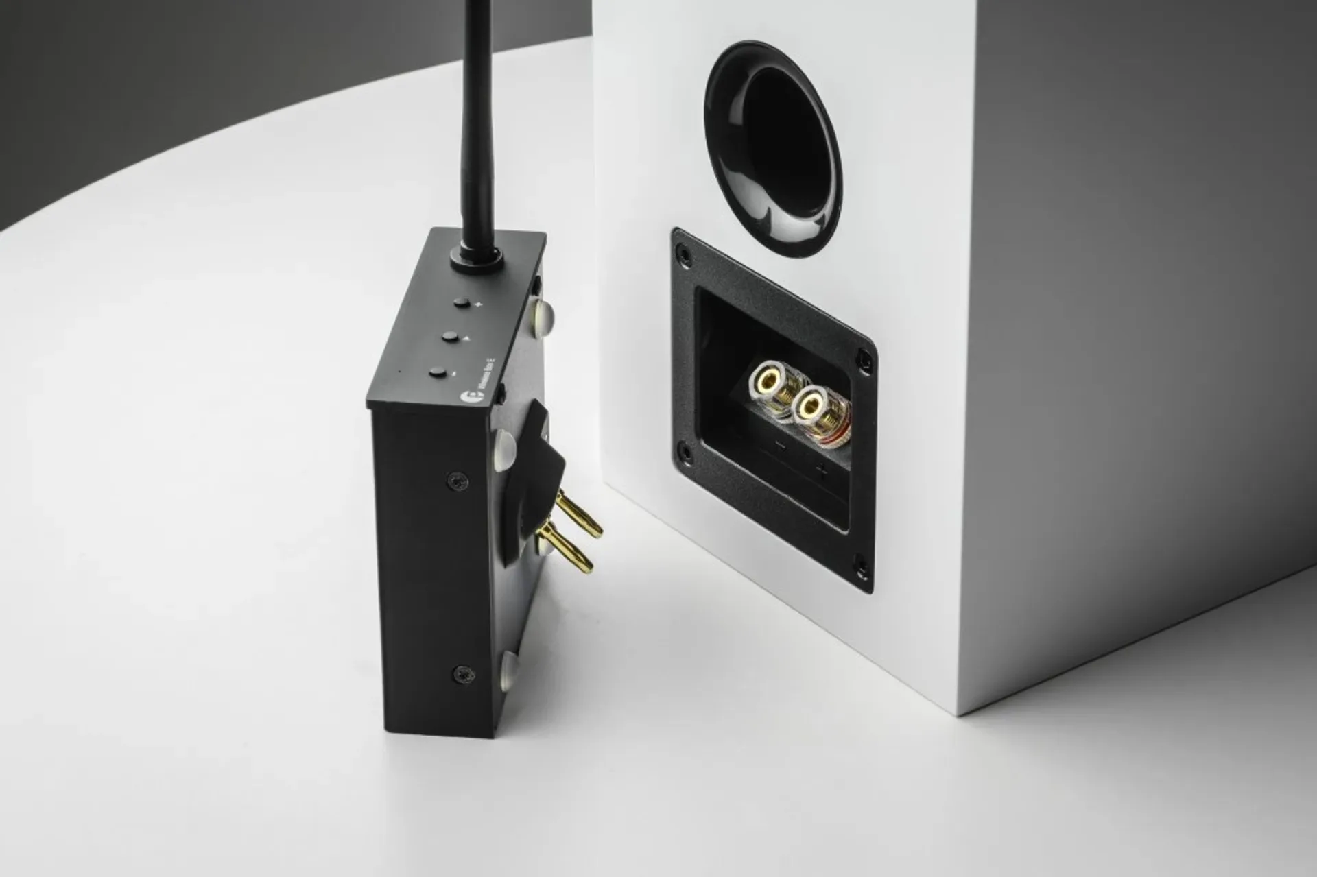 Pro-Ject Wireless Box E with integrated plug and antenna beside the rear panel of a white bookshelf speaker with port and gold binding posts.